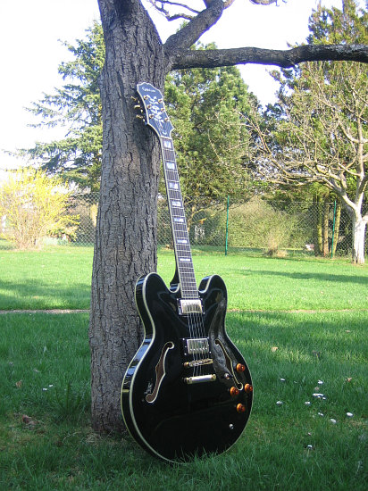 Epiphone Sheraton II